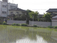 CIMG3094.JPG