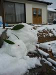 雪うさぎ