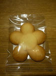 P1020129.jpg