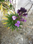 P1020420.JPG