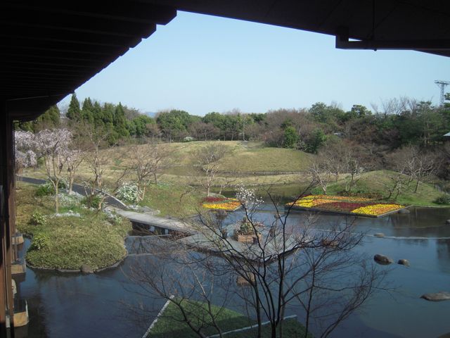 梅小路公園 桜