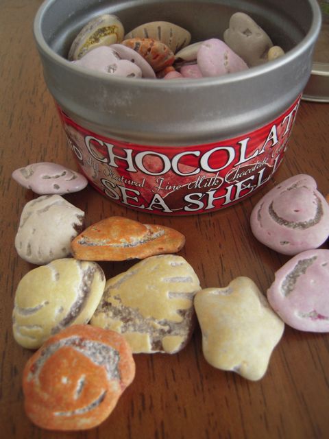 SEA SHELLS