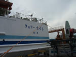 0363fd06.jpg