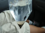 579a4854.jpg