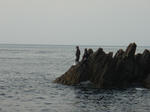 PB100009.jpg