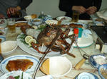 PB100062.jpg