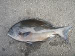 PB180006.jpg