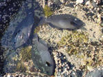 DSC00121.jpg