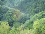 P7200025.jpg