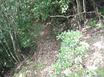 P7200030.jpg