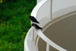 DSC_00810001.JPG
