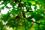 DSC_01140001.jpg