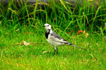 DSC_01840001.JPG