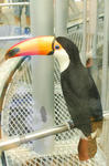 DSC_01040001.JPG
