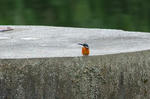 DSC_00280001.JPG