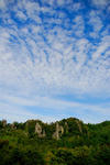 DSC_00880001.JPG