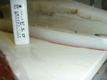 PB1000490001.JPG