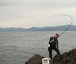 PB1500680001.JPG