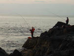 PB1500600001.JPG
