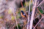 DSC_01780001.JPG