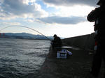 IMG_0079.jpg
