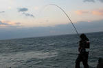 IMG_01870001.JPG