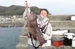 IMG_04060001.JPG