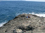 IMG_05670001.JPG