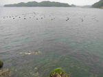 IMG_07320001.JPG