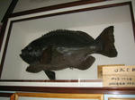 IMG_10030001.JPG