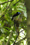 _DSC05000001.JPG