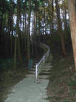 PA1000260001.JPG