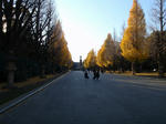 PC070082.jpg