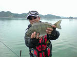 DSC00093.jpg