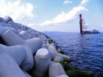 DSCN0483.jpg