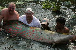 fish1_big.gif