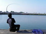 DSCN0917.jpg