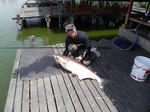 DSCN0871.jpg