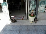 DSCN0989.jpg