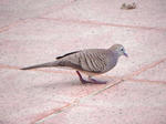 DSCN2054.jpg