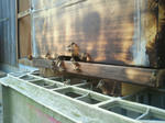 2011042623480000.jpg