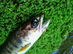 2011052222370000.jpg