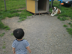 IMG_3496.PNG