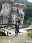 IMG_3794.PNG