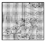 5.gif