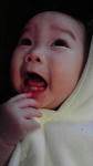 2008112009040001.jpg