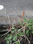 20130319_094334.jpg