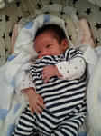 20130423_132705.jpg