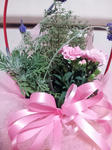 20130512_181506.jpg