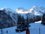 preda8